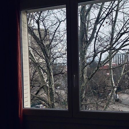 Ile Verte Entre Chu & Vieille Ville Гренобъл Екстериор снимка